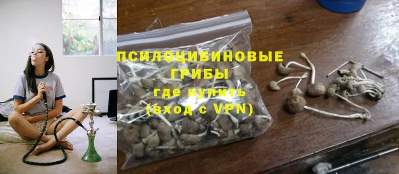 MEGA ссылки  Сертолово  Псилоцибиновые грибы MAGIC MUSHROOMS 